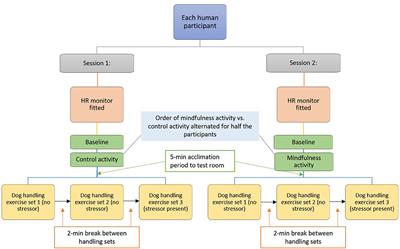 Assessing the Relationship Between Emotional States of Dogs and Their Human Handlers, Using Simultaneous Behavioral and Cardiac Measures